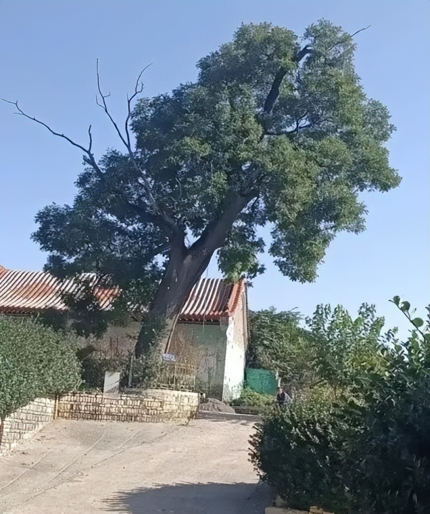 ​母校之地——船窟行作者：陆生吉