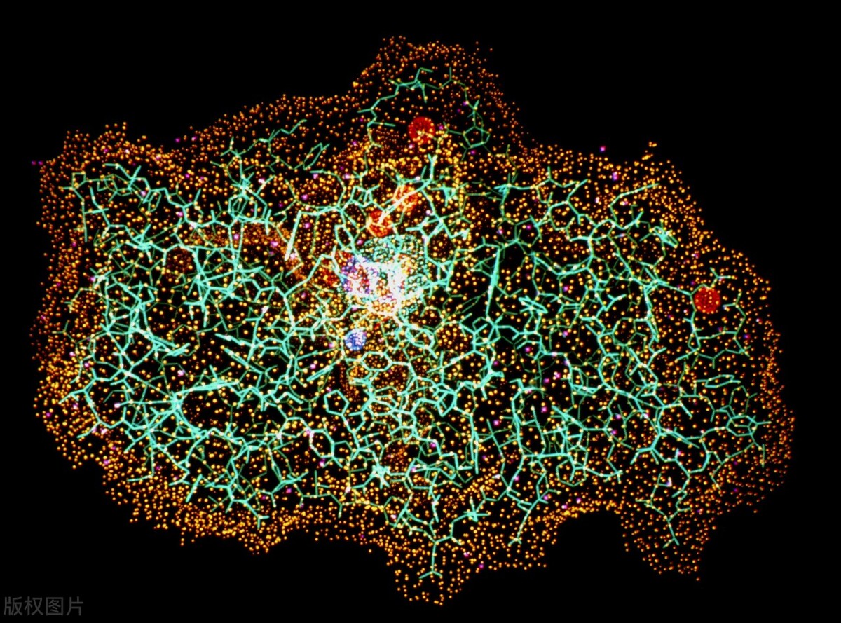 辉瑞历史上有哪些不好的药,辉瑞靠哪个药发家的