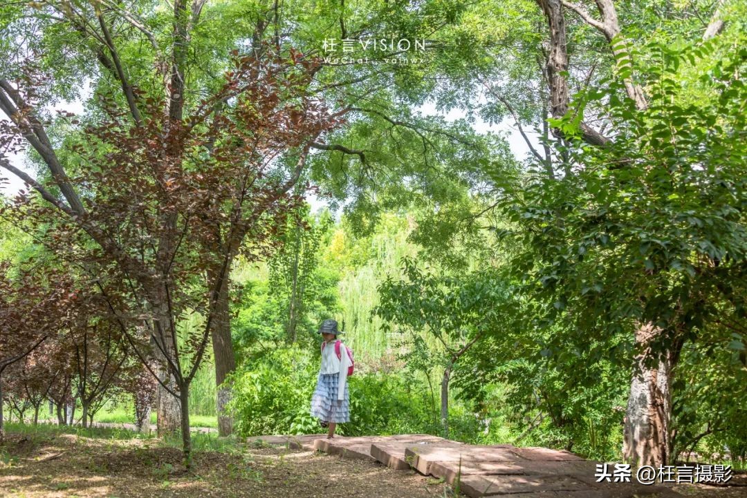 天津二宫关闭了么,天津二宫公园现在开放了吗