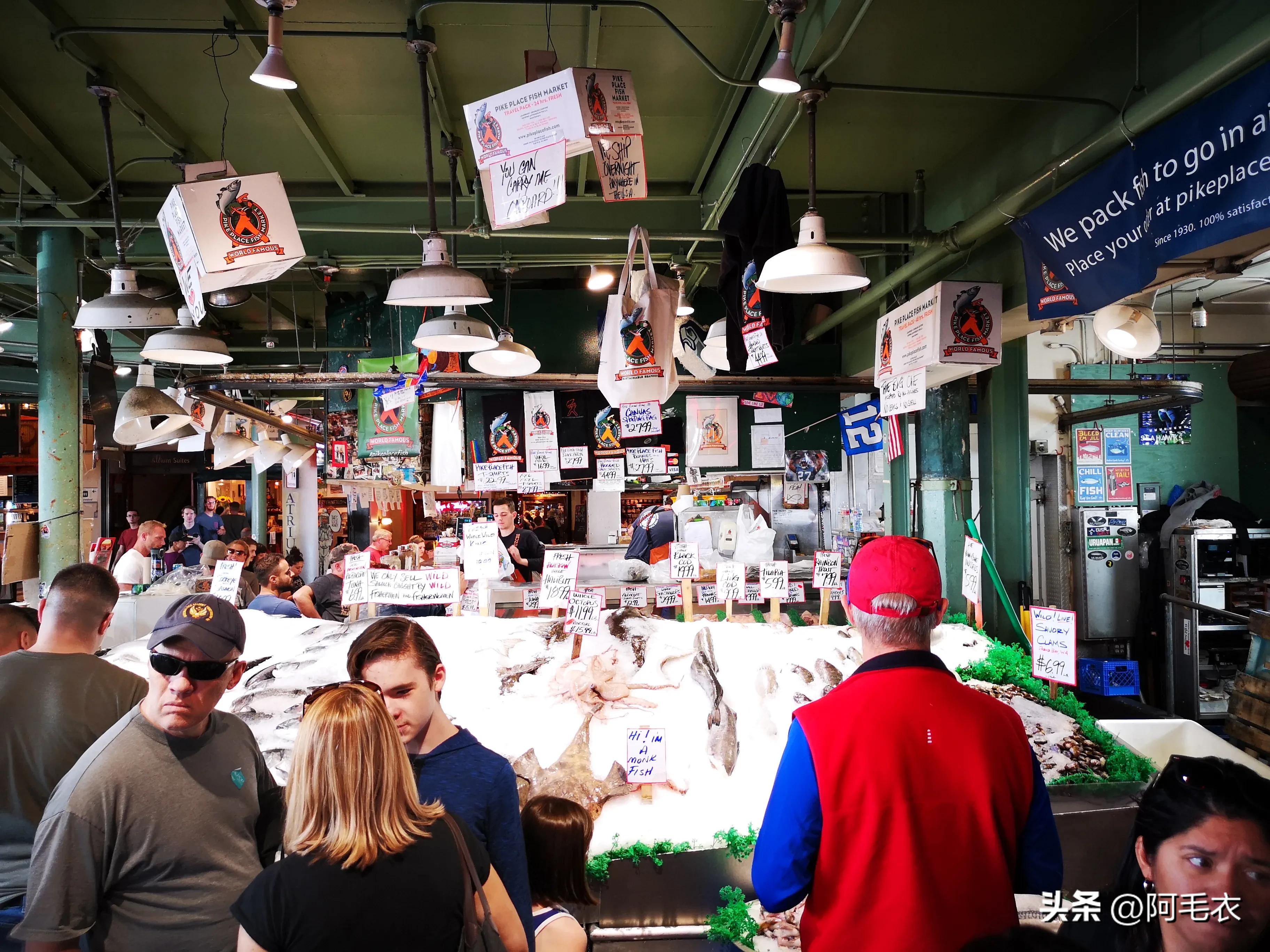 在加拿大中国人 (加拿大接收华人吗)