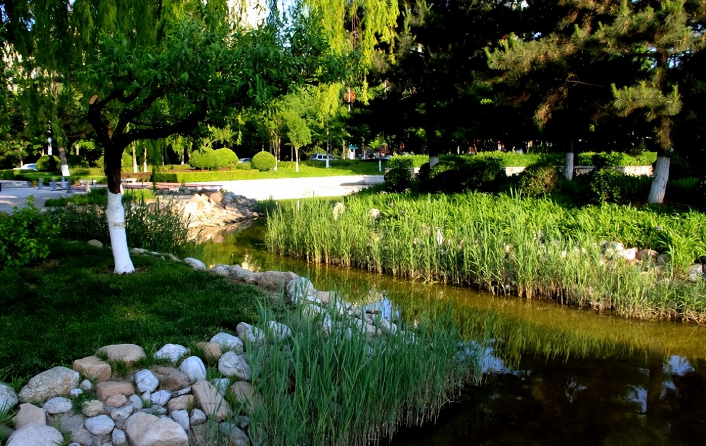 体检·小酌·途中·公园·侄女·其它