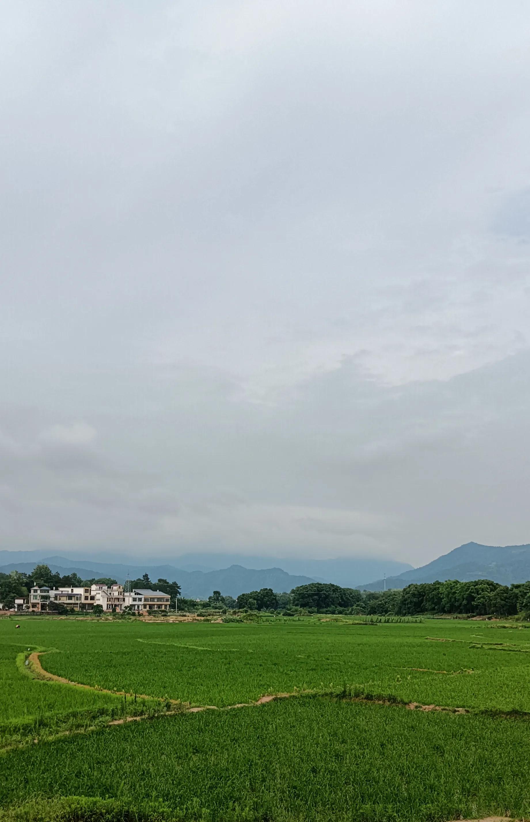 九江修水美女的由来,修水县白岭镇为啥美女多