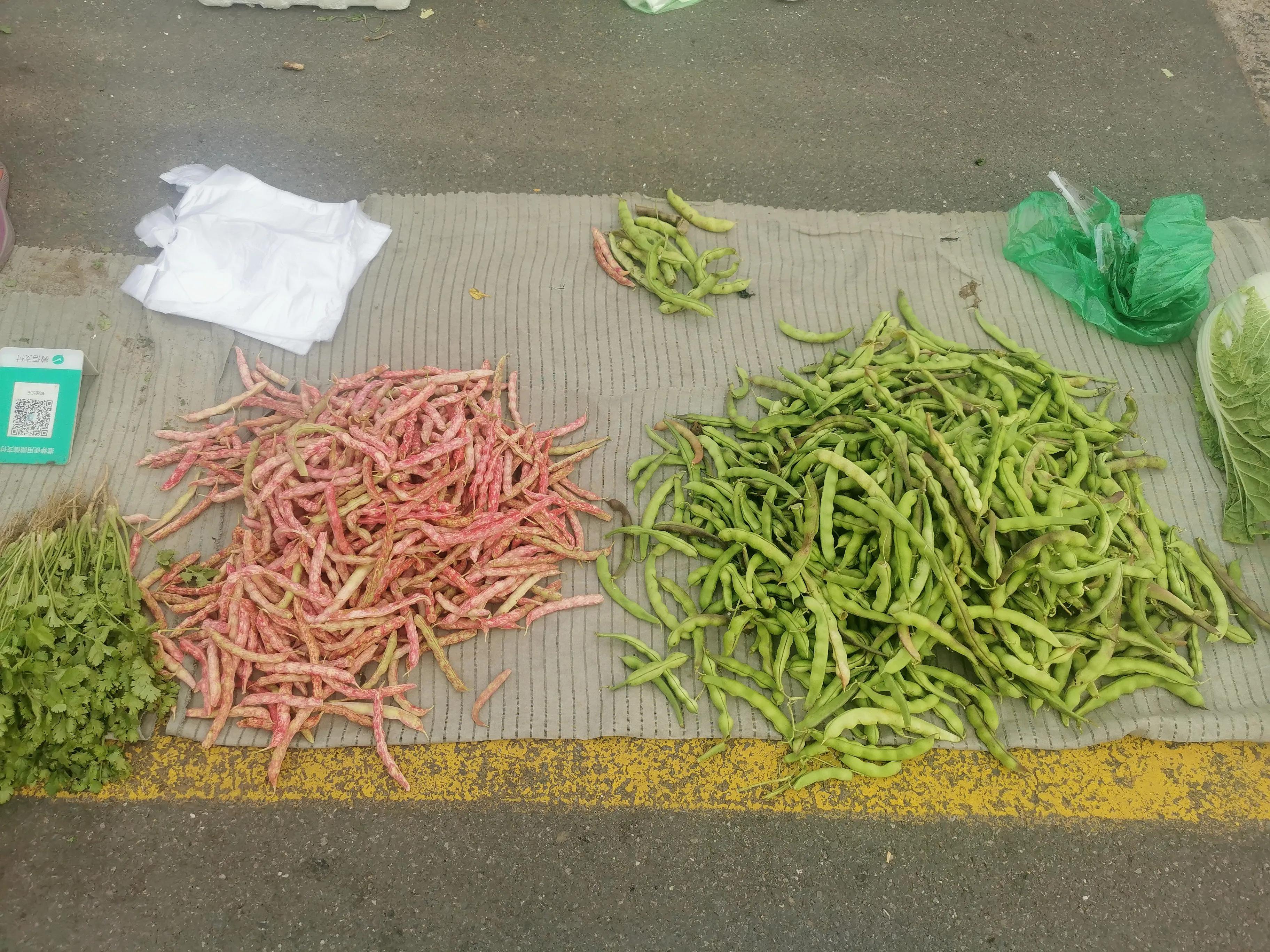 中国申请高句丽世界文化遗产遗址,高句丽历史文化遗址