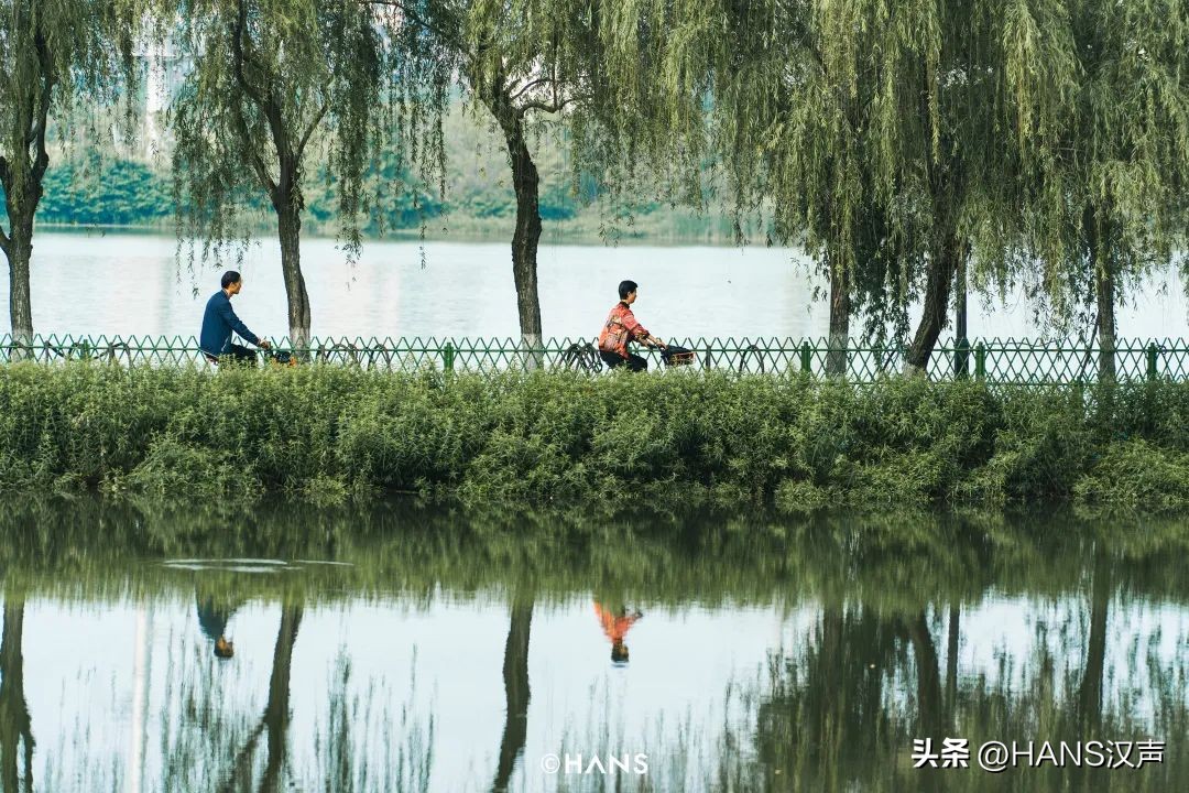 过隐！种花养鱼武汉人