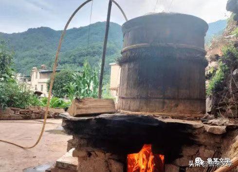 散文作家苏沧桑,冬酿散文