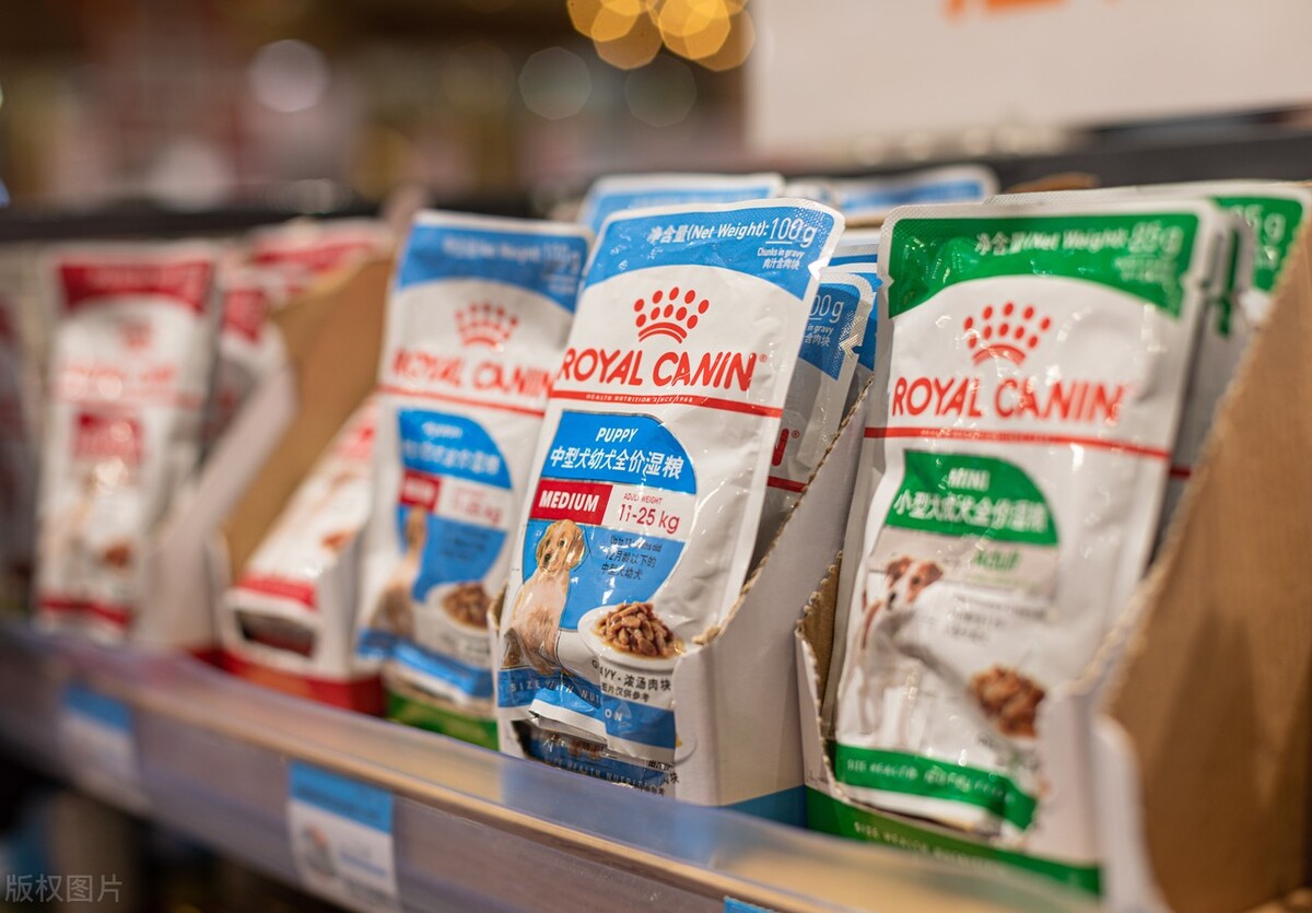 马云预言未来最吃香的三个行业,未来农村最吃香十大挣钱行业