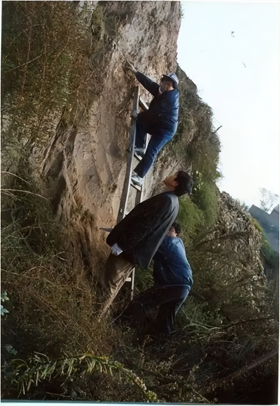 考古工作者李毓芳简介,李毓芳阿房宫考古结局