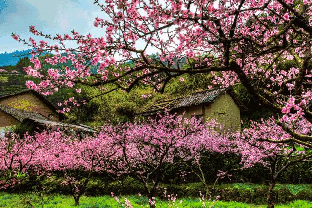 深圳去韶关丹霞山旅游攻略,韶关2夜3天旅游攻略丹霞山