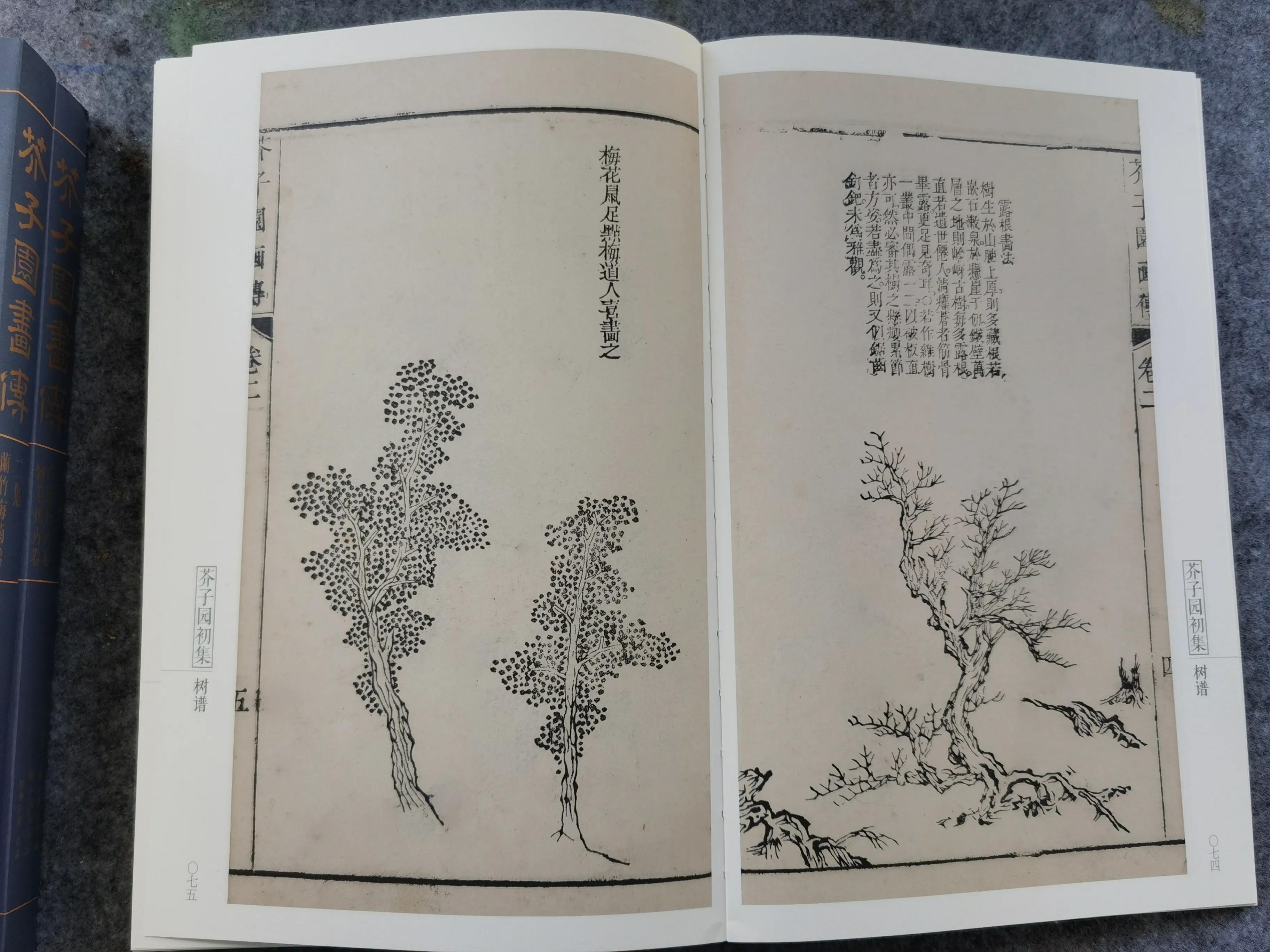 芥子园画传,芥子园画传教学
