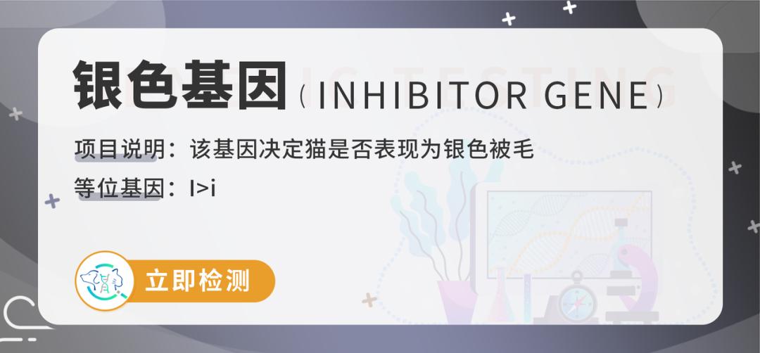 基因克隆最新突破,基因最新突破