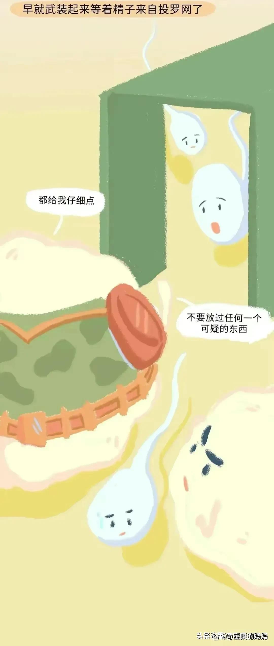 科普知识小蝌蚪怎么成长为青蛙,小蝌蚪动画的成长过程