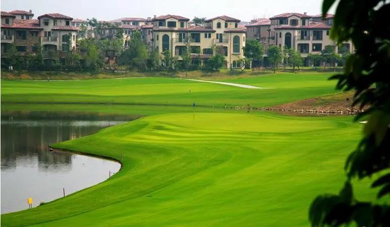 中国十大土豪村靠什么发展,发展潜力最大的农村