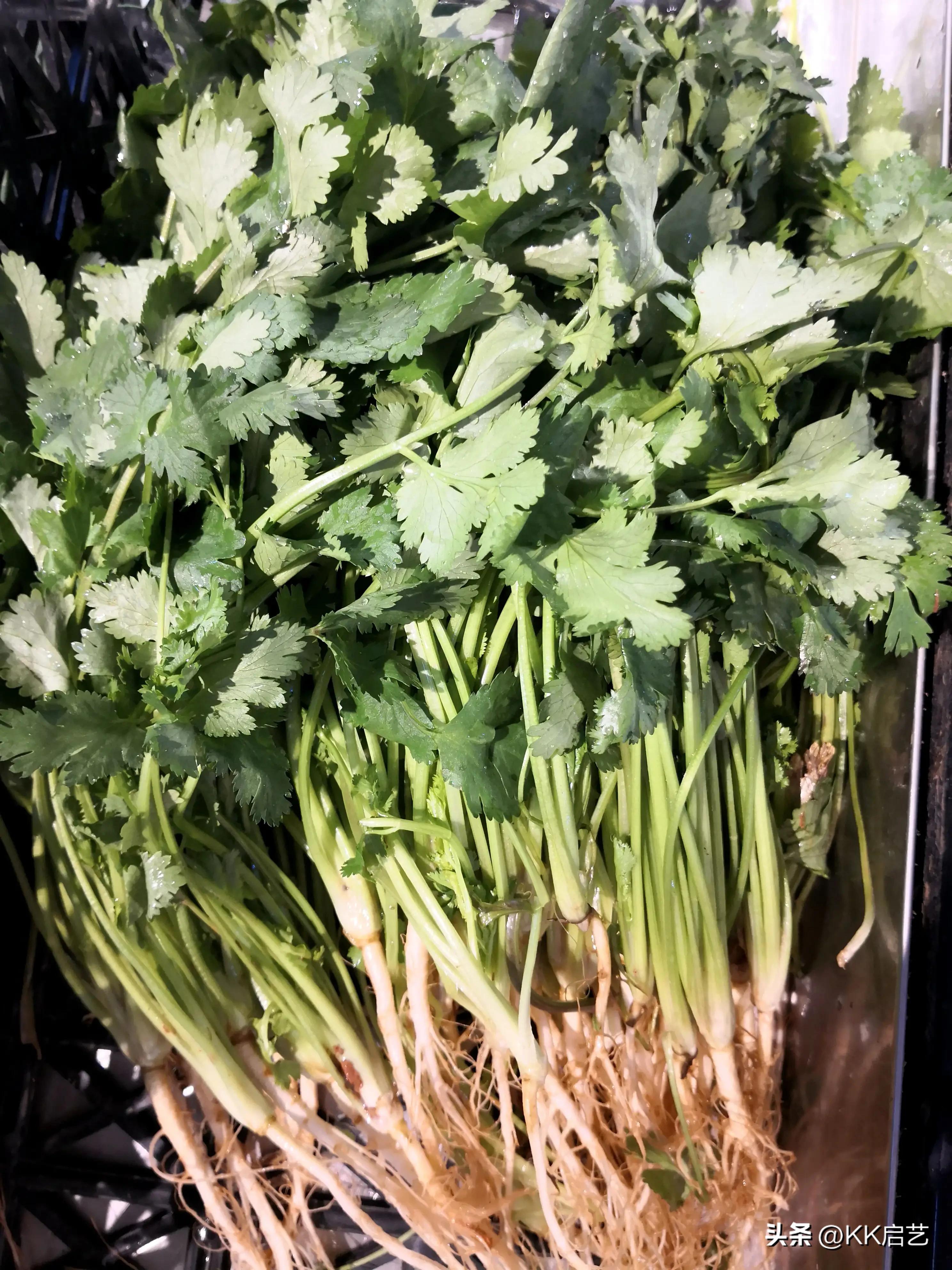 芥末膏是什么东西做的,芥末膏是什么制作的