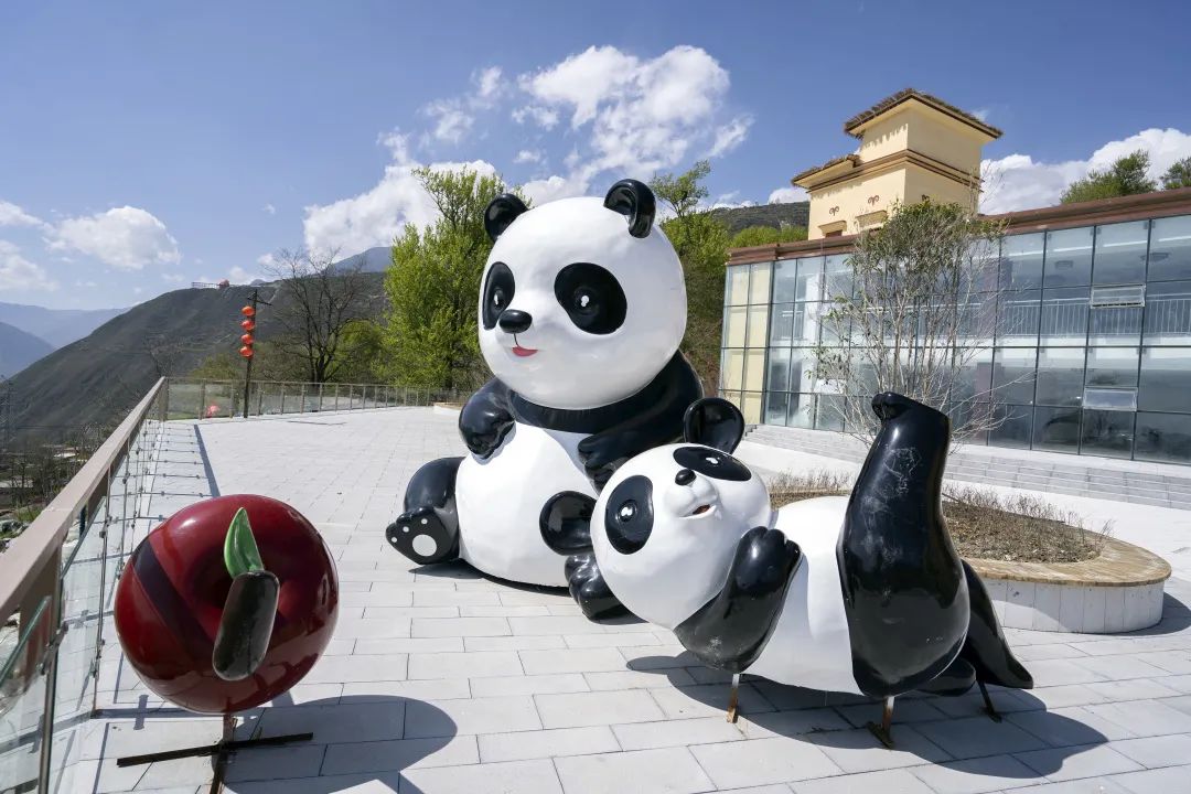 汶川是哪天呢,汶川大地震的威力到底有多强大呢