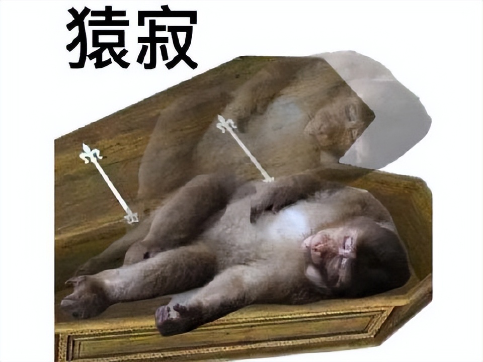 dnf手游被坑视频,dnf韩服手游因运行问题