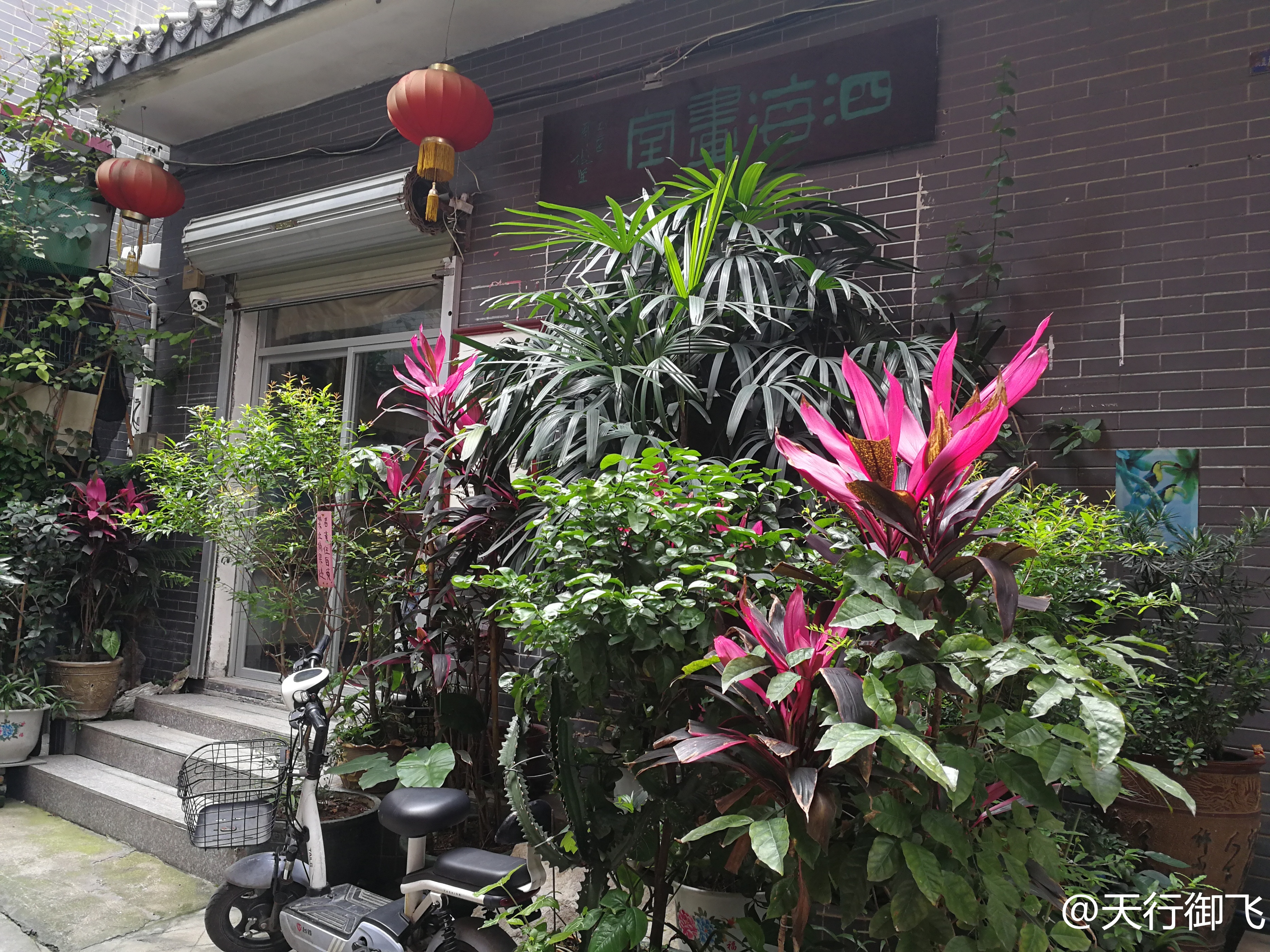 小洲村旅游景点地图,小洲村一日游最佳攻略