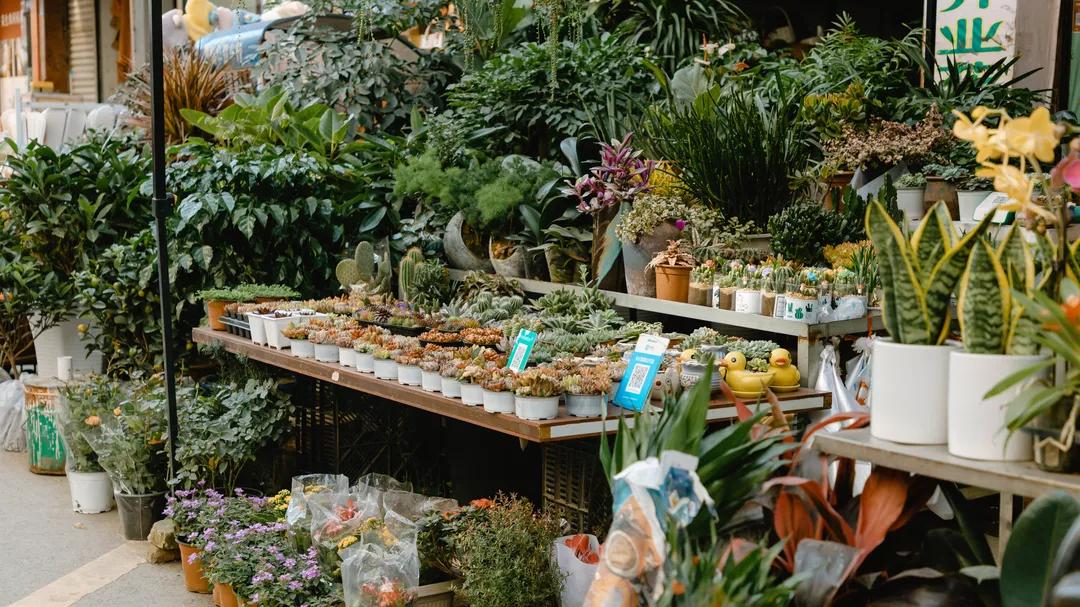 成都伏龙小区伏龙一街,土味城中村