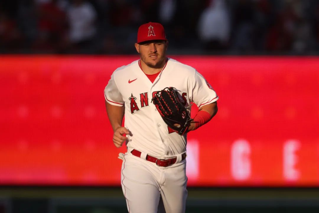 一周红黑榜,一周红黑榜完整视频