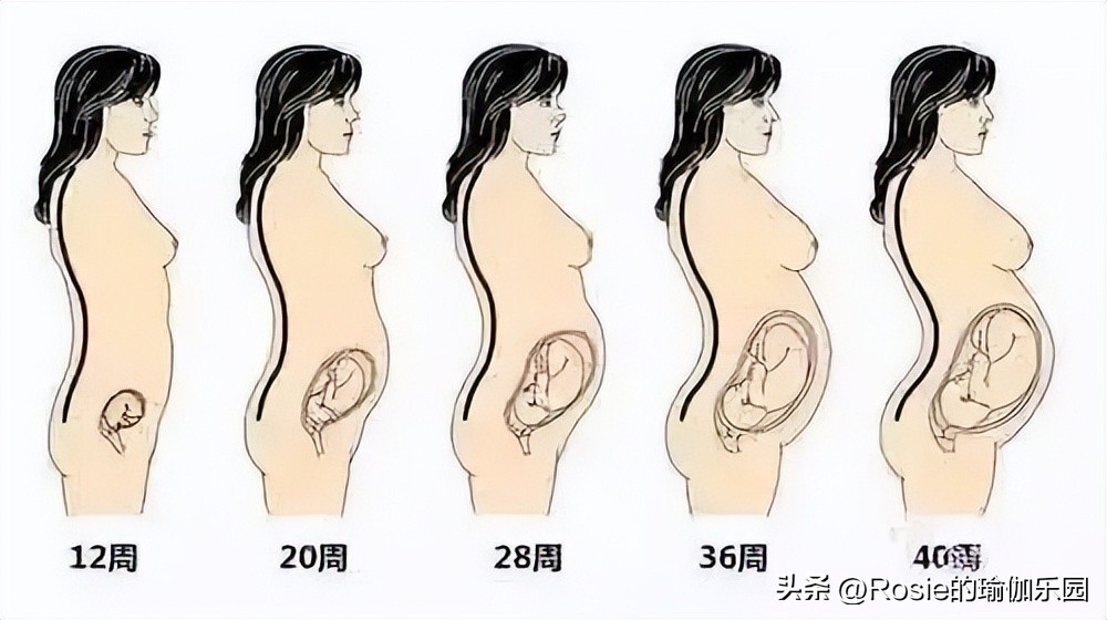 热巴翘臀训练动作,热巴秀长腿