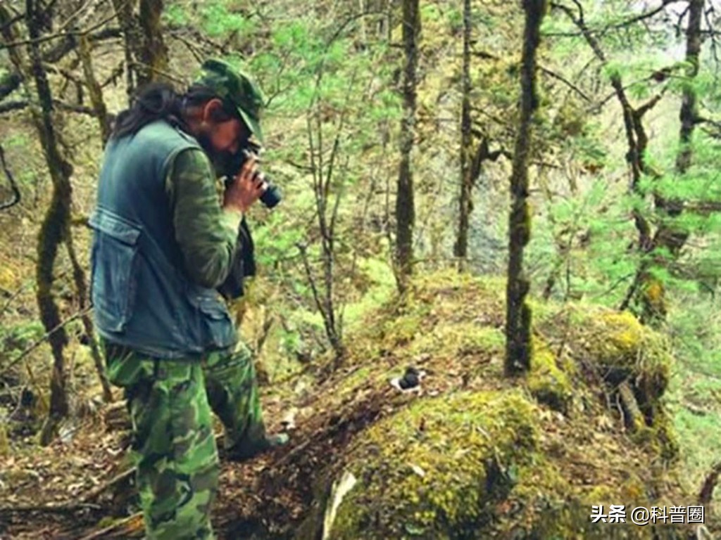 神农架深处被列为禁区的现象,神农架深处为何被列为禁区进不去