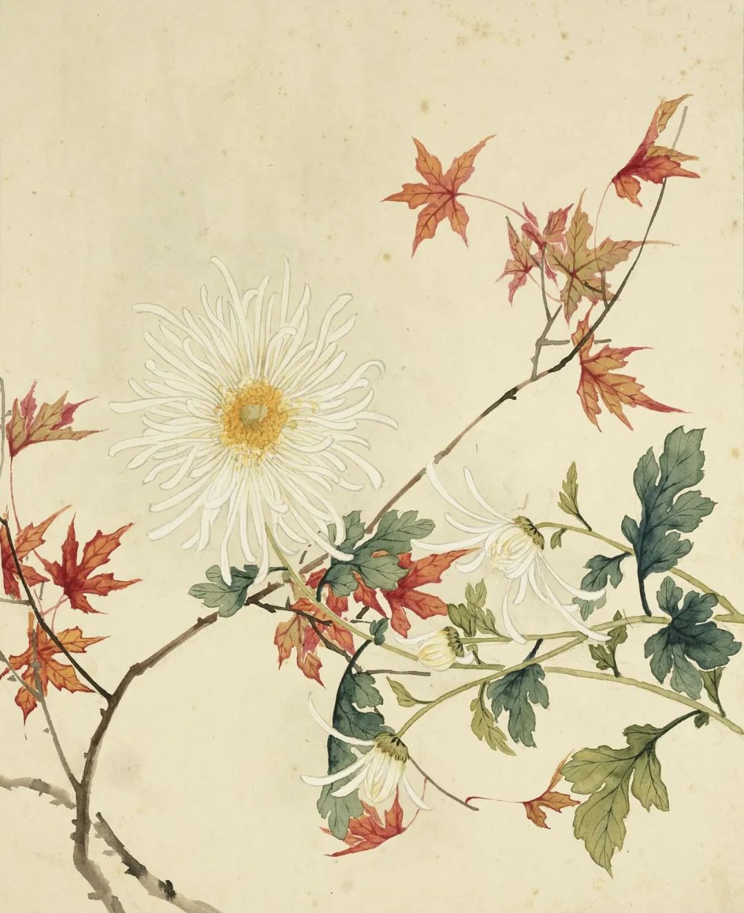 慕容看世界的视频,慕容看世界所有视频