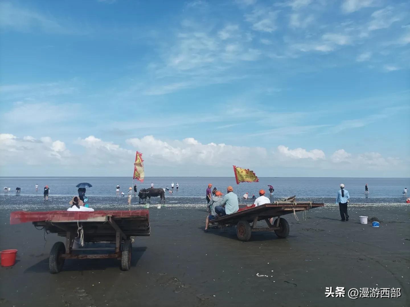 上海踏青一日游推荐,五一上海周边春游攻略