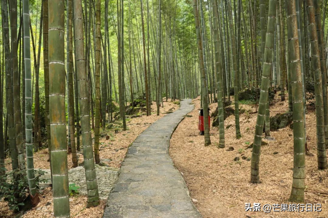 广州周边发现人少景美的地方，是华南第一峰，在广西桂林