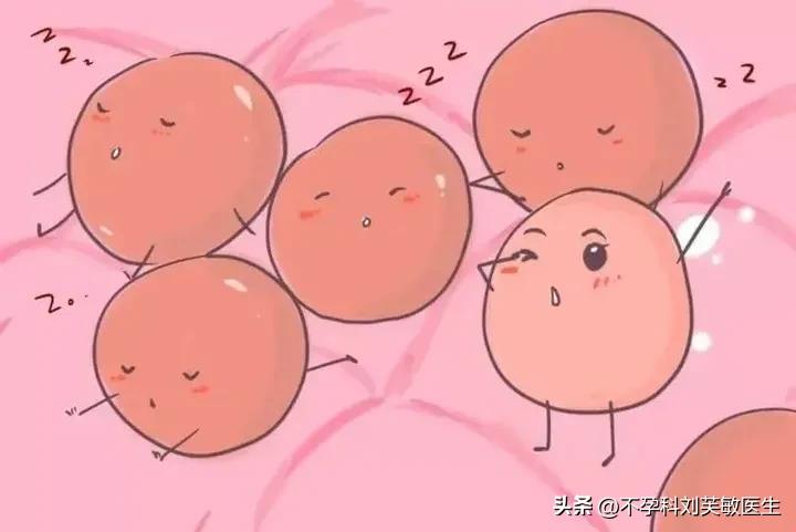 促排卵会导致卵巢早衰吗,促排卵会导致女性提前绝经吗