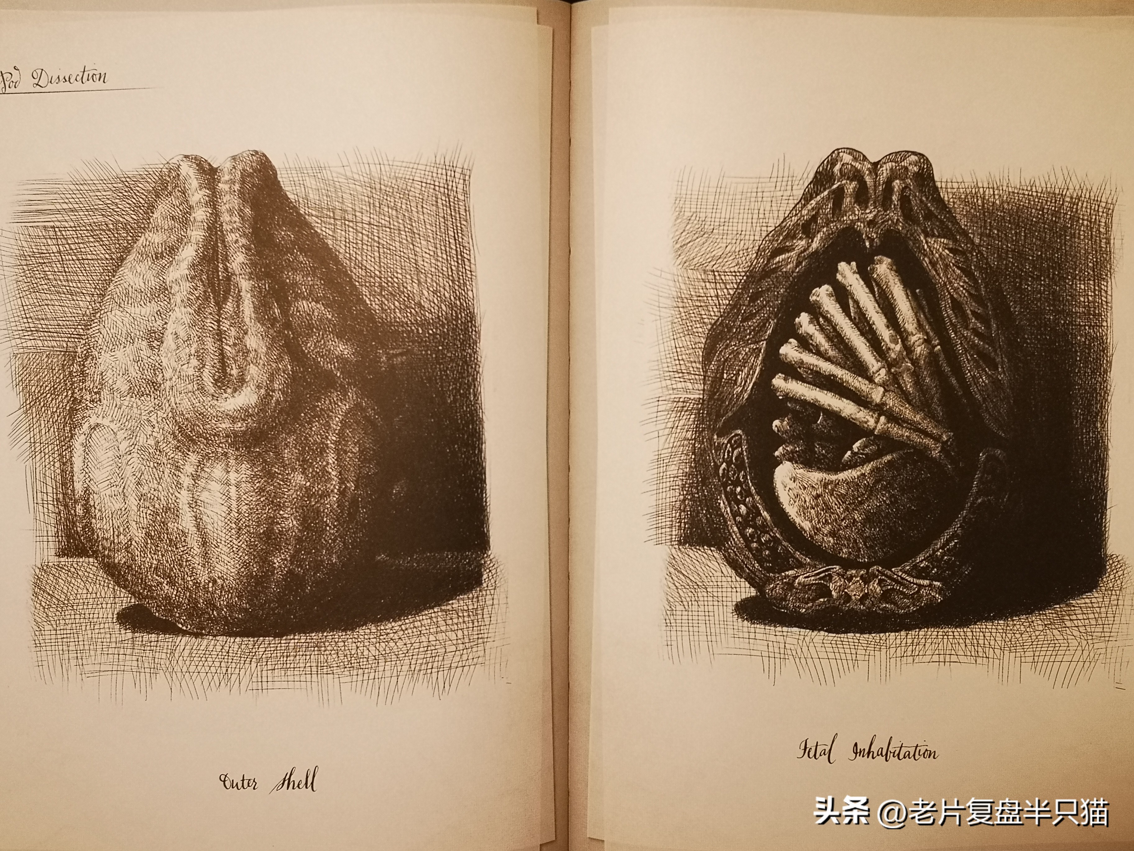 仿生人大卫的秘密,仿生机器人大卫