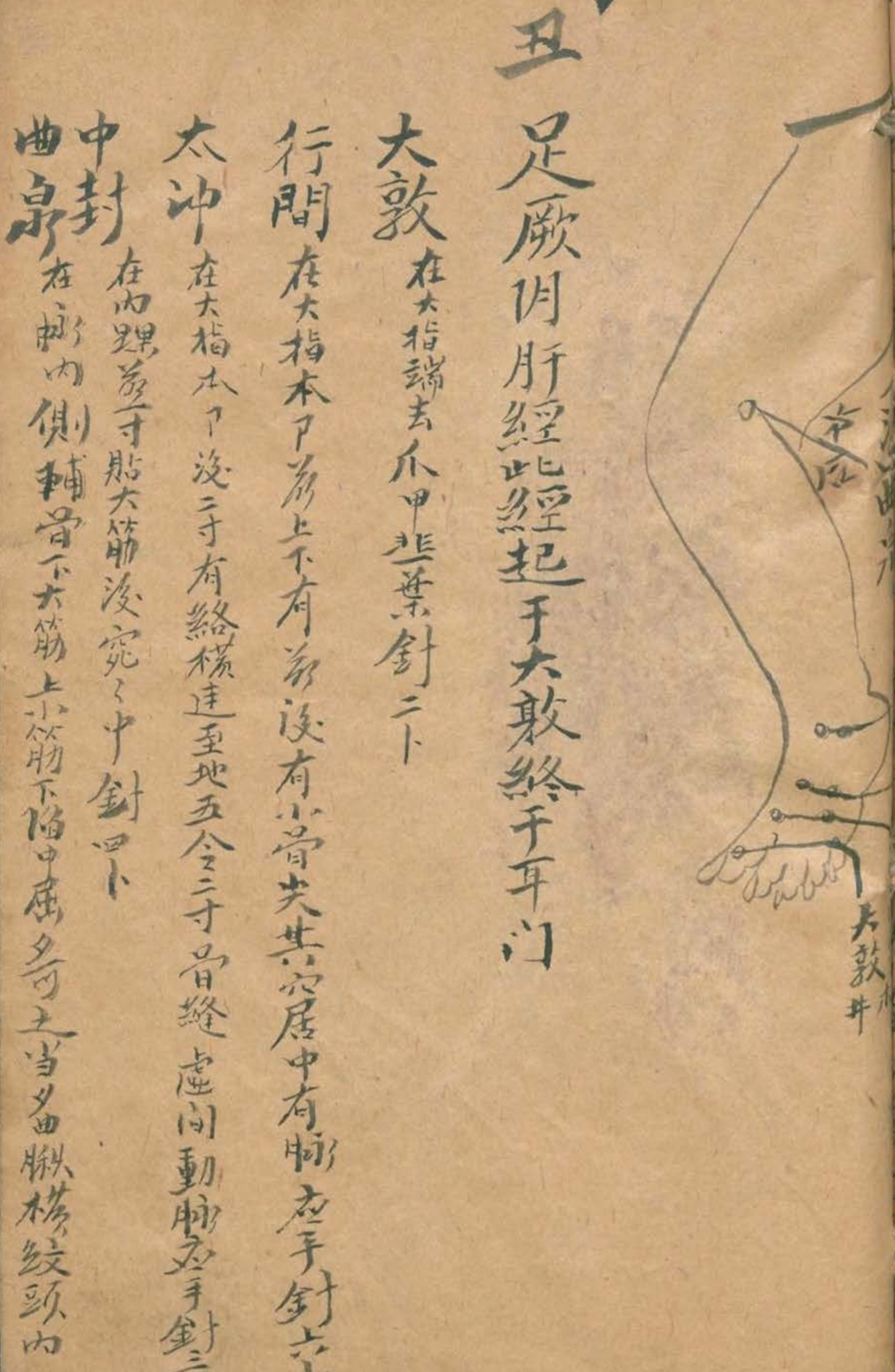 放痧疗法视频,放痧的最佳方法