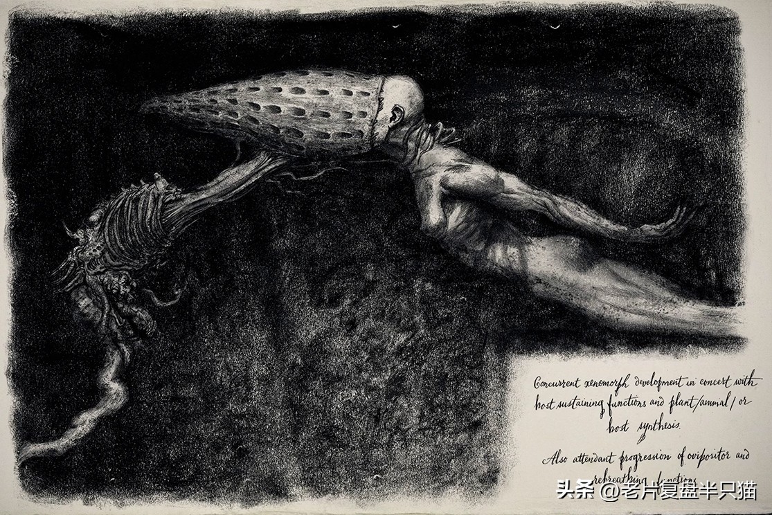 仿生人大卫的秘密,仿生机器人大卫