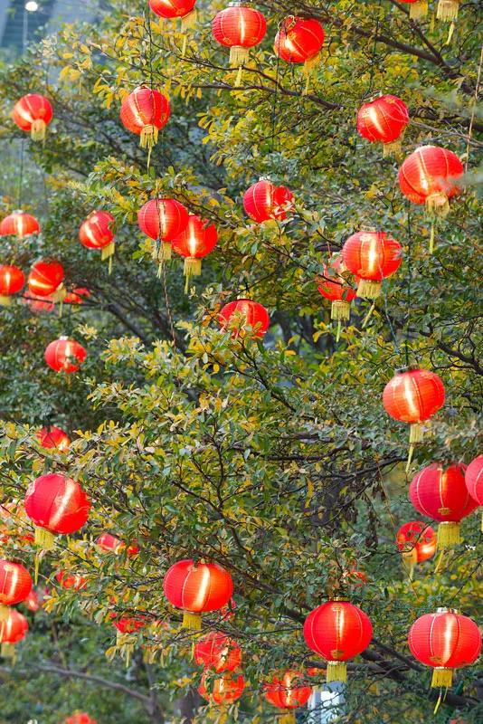 喜庆的红灯笼聚宝盆图片大全,喜庆红灯笼图片大全