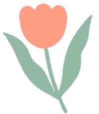 深圳旅游全攻略宝安,宝安旅游线路推荐