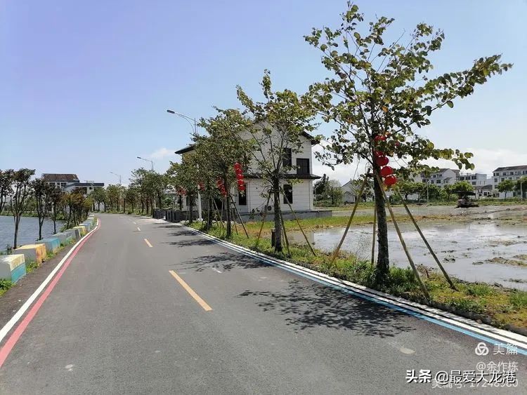 龙港市水心夜景,龙港市水心岛天气