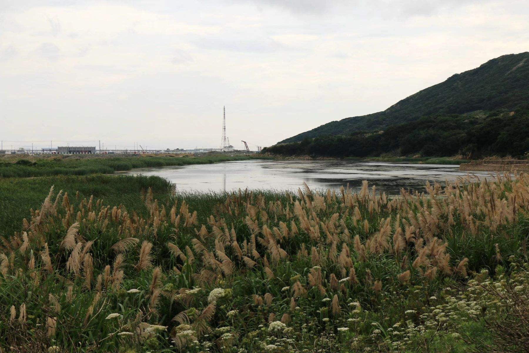 梁鸿的隐居生活,梁鸿为何隐居