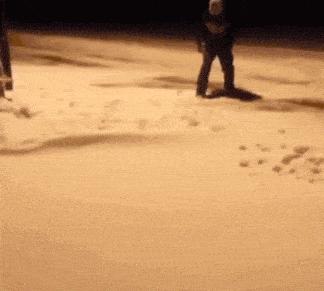 林志玲为什么越来越像日本贵妇,林志玲越来越像日本贵妇