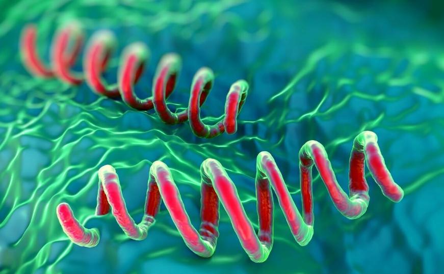 潜伏期梅毒能彻底治好吗,潜伏期的梅毒能治愈吗
