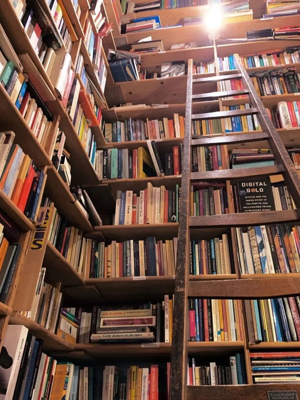 萍萍身高168cm的网红,萍萍身高多少米