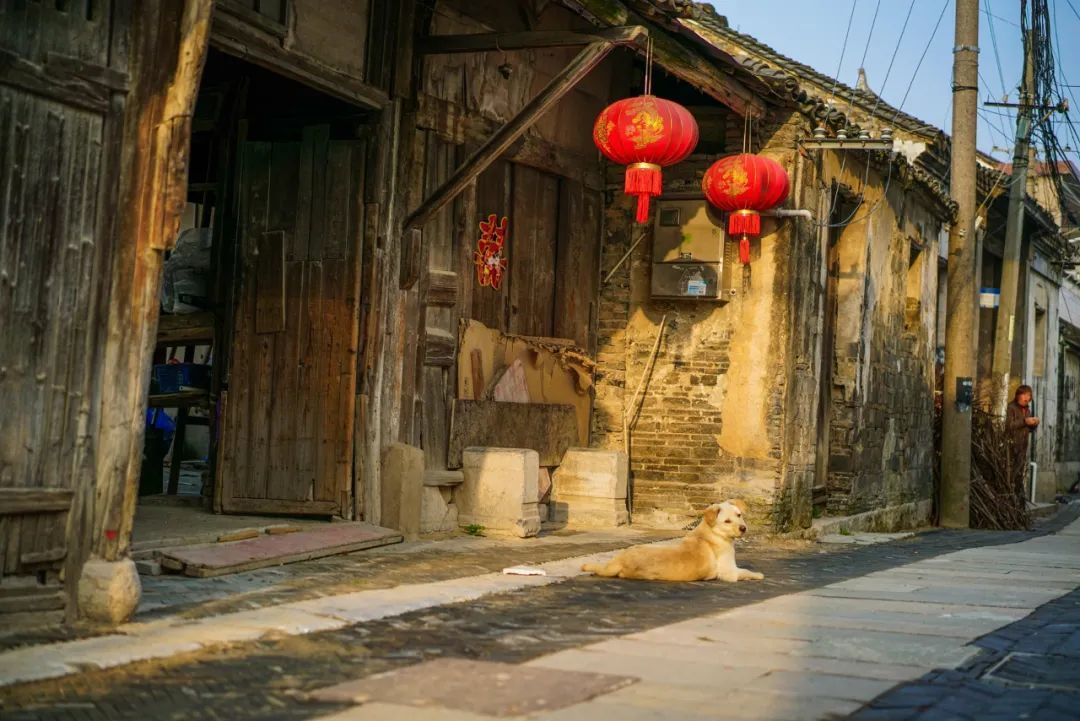 太湖西山岛冬季旅游攻略,苏州太湖西山岛有什么玩的