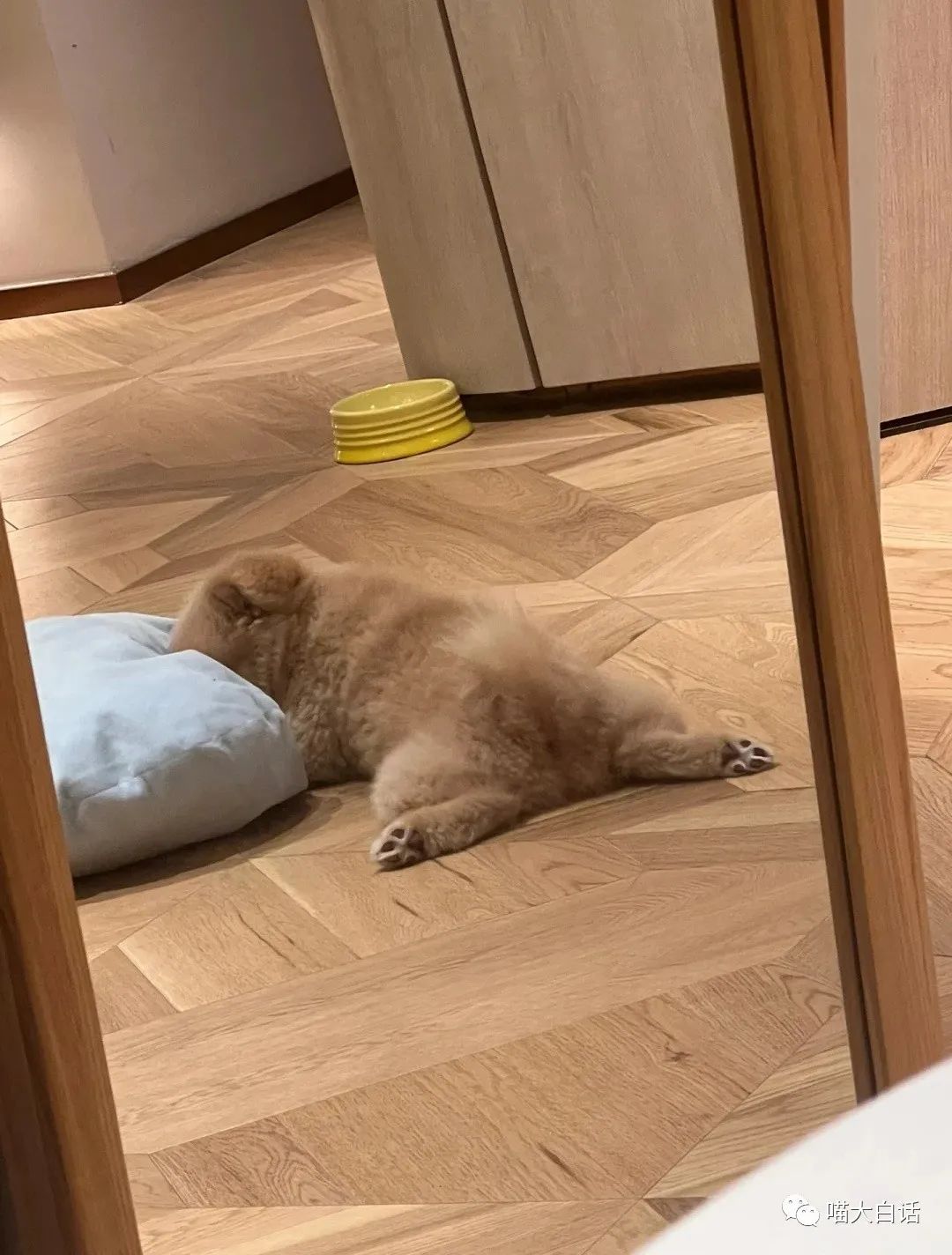 当富豪看到自己的国家队输球后...哈哈原来有钱人也会不高兴！