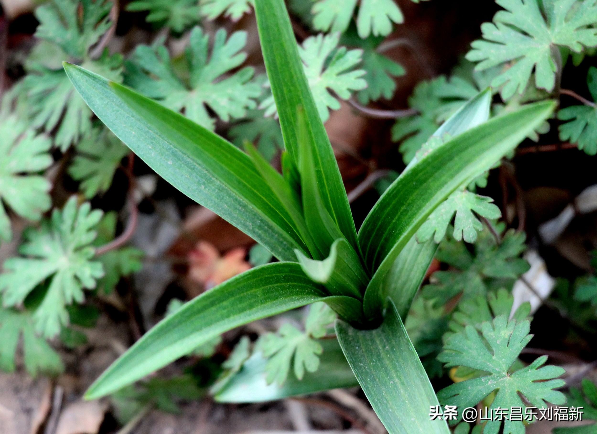 2023年3月中旬散拍·一点儿感受