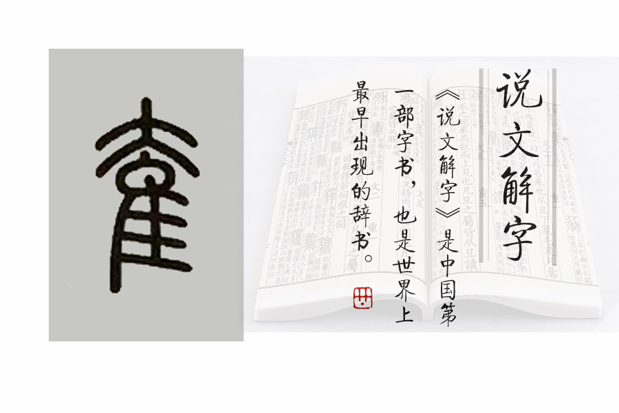 说文解字第625课,说文解字540全文阅读