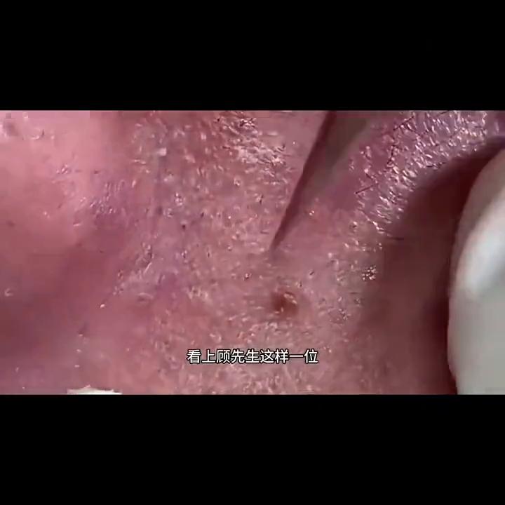 日常系美剧小说,免费看小说的日常