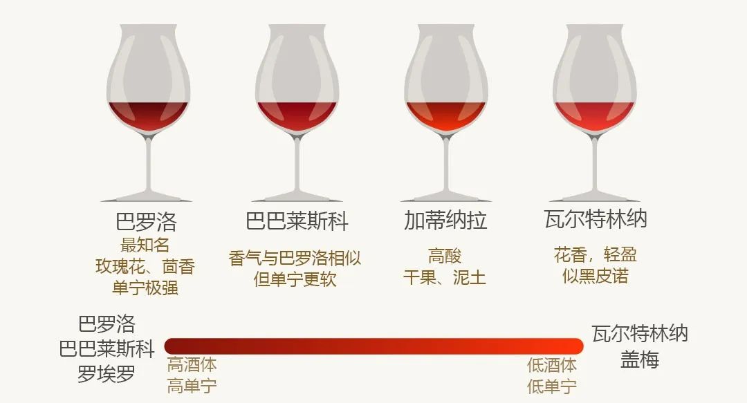 一分钟了解罗马教皇,一分钟了解意大利