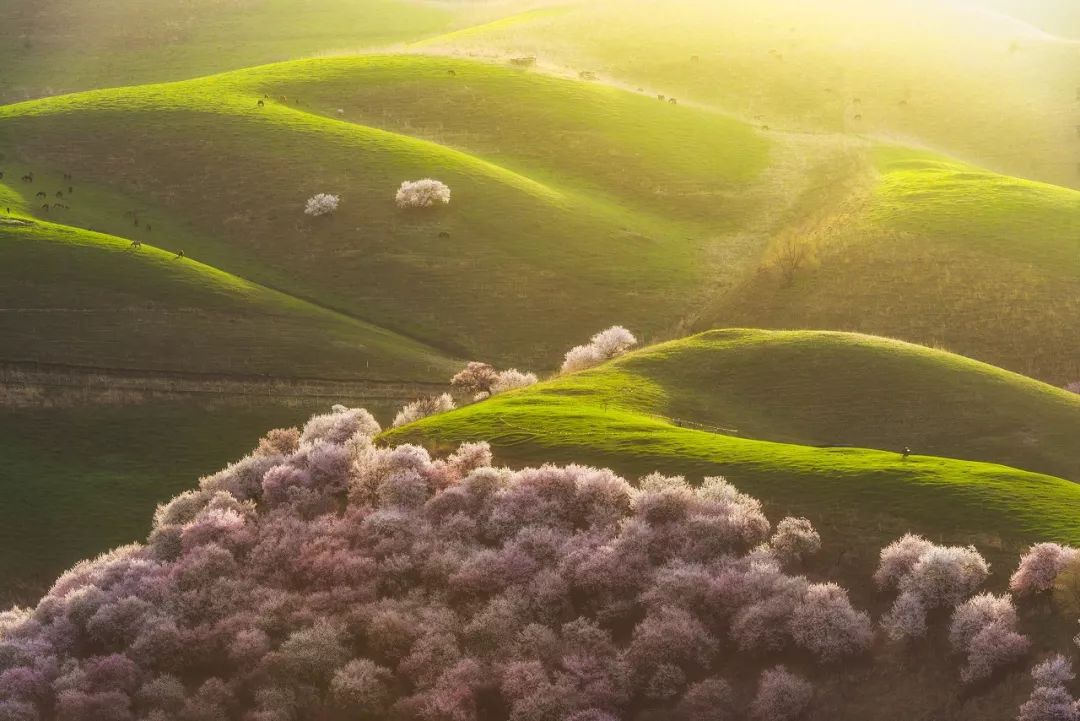 60岁之前必去的34省区最美天堂,最真实最美的旅游地方