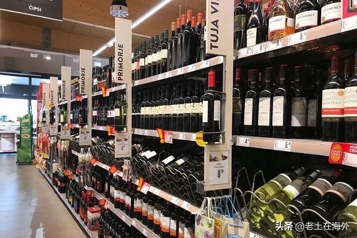 弹丸小国立陶宛现在状况,弹丸小国立陶宛蚍蜉撼树