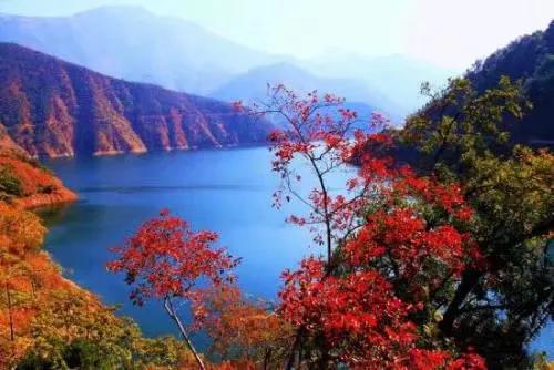 父辈的艰辛视频,感慨父辈的艰辛