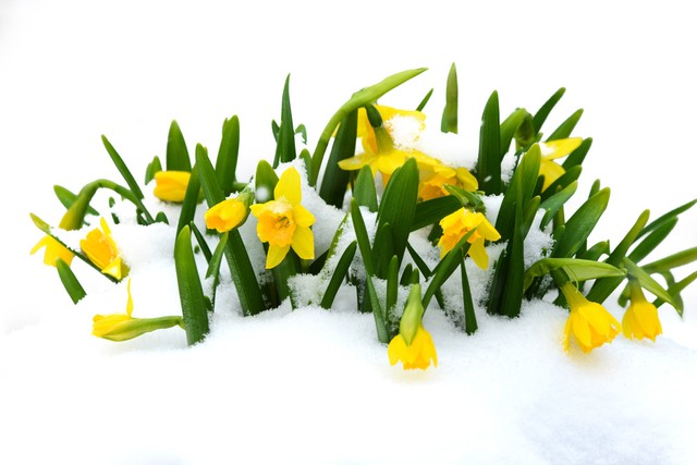 外围又传利好，春节前还有低位上车机会吗？