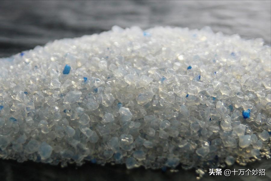 猫咪误食猫砂有怎样的后果 (猫咪用的猫砂有毒吗)