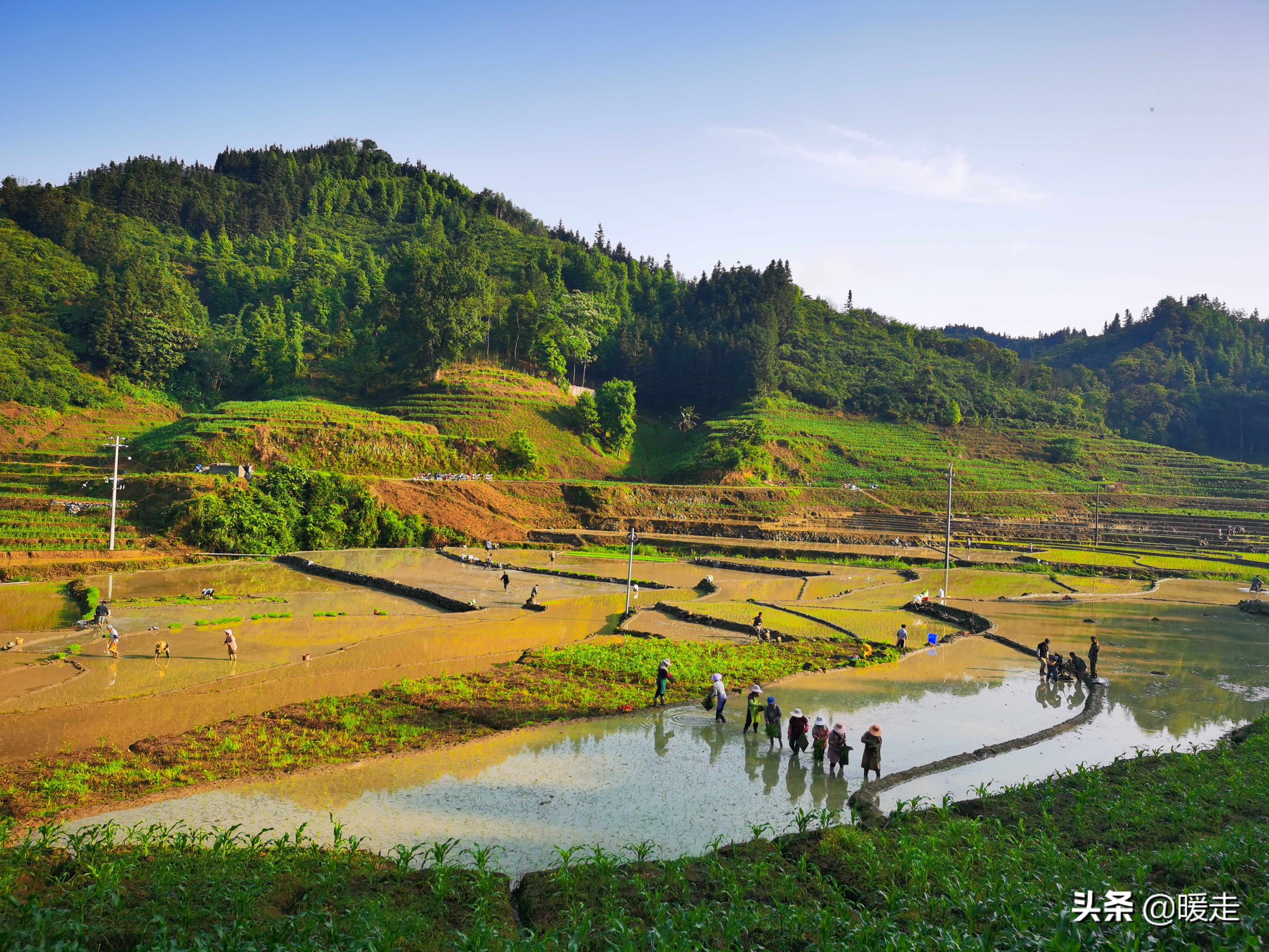 广西农民种田,乡村种田的生活视频